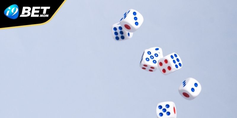 Cần cân nhắc kĩ loại hình cược trước khi lựa chọn